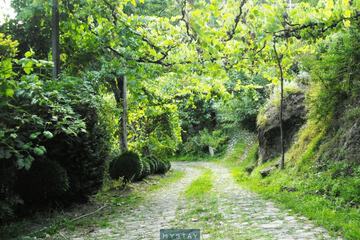 Hiking