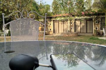 Outdoor wedding area