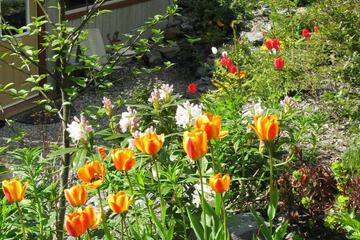 Photo 24