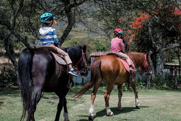 Horseback riding