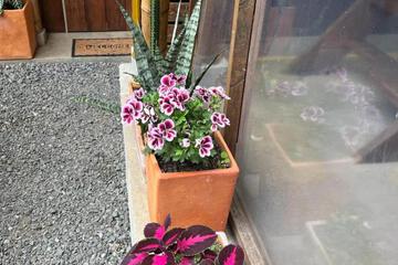 Photo 30