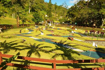 Mini-golf