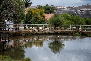 Ecotours