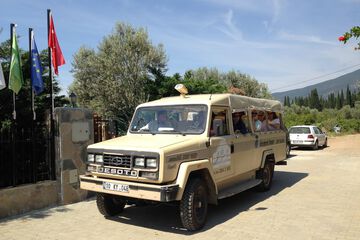 Safari