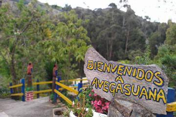 Ecotours