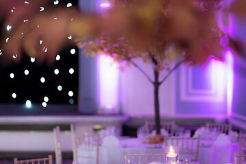 Indoor wedding