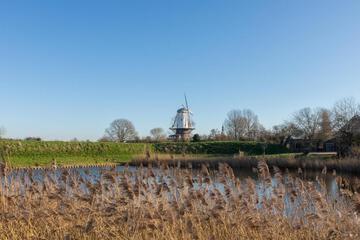 Photo 28