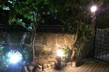 Photo 47