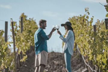 Winery