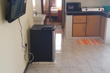Mini-refrigerator