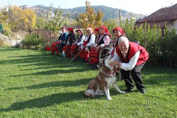 Photo 52