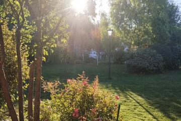 Photo 38