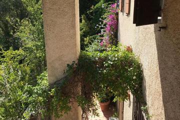 Photo 62