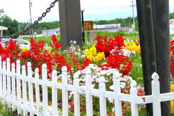 Property Grounds 19 of 21