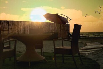 Terrace or Patio