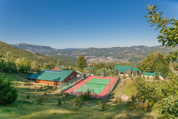 Tennis court