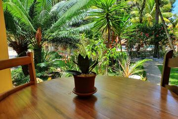 Garden view