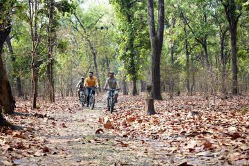 Bicycling