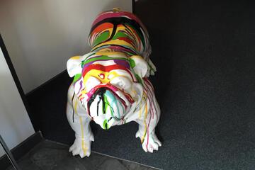 Photo 9