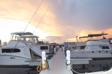 Dock