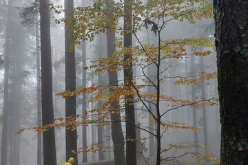 Hiking