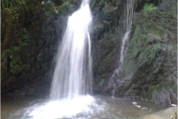 Natural Pool