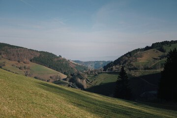 View from room