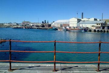 Photo 41