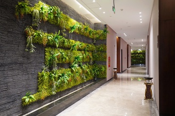 Hotel Interior or Public Areas