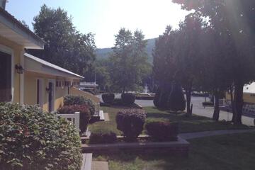 Photo 38