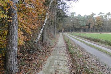 Photo 32