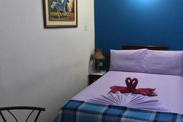 Photo 42