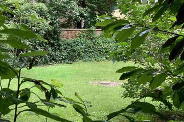 Photo 36
