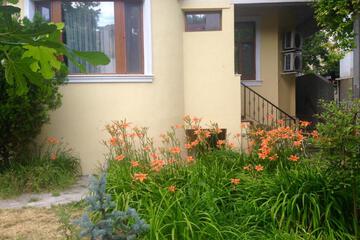 Photo 34