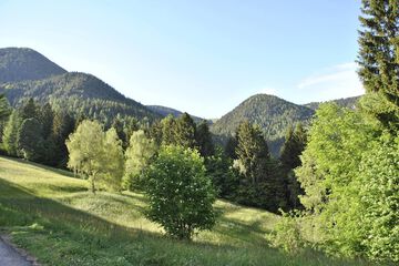 Mountain view