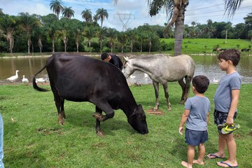 Ecotours