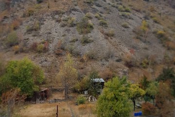 Hill view