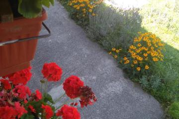 Photo 30