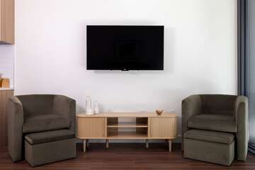 Television