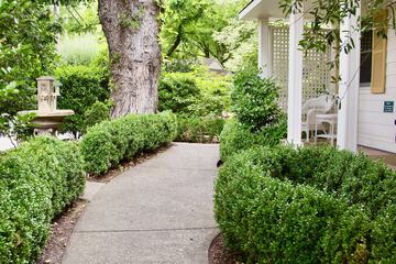 Garden view