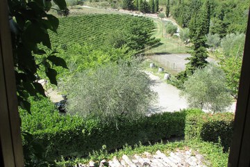 View from room