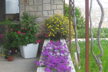 Photo 27