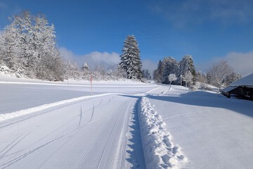 Sledding