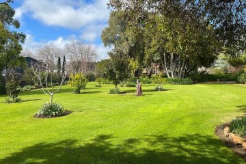 Garden view