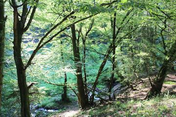 Hiking