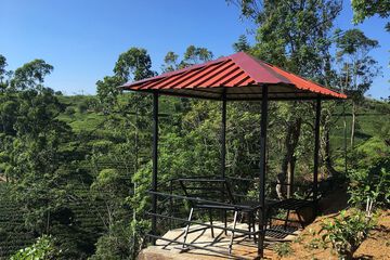 Sundeck