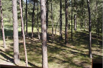 Photo 35