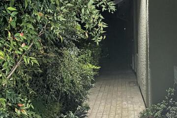 Photo 37