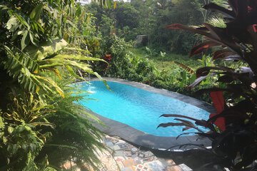 Natural pool