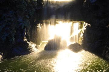 Photo 49
